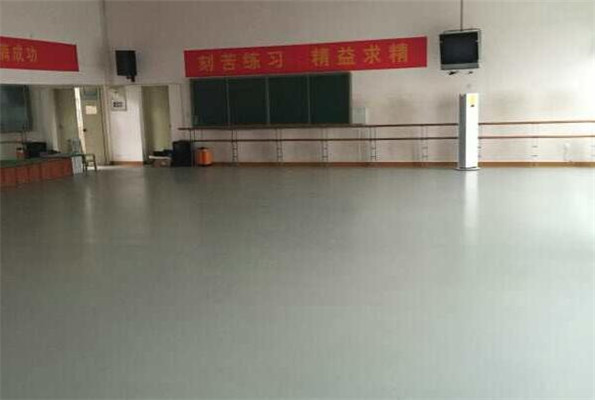 湖北武漢青少年宮舞蹈地膠 湖北武漢青少年宮舞蹈地膠